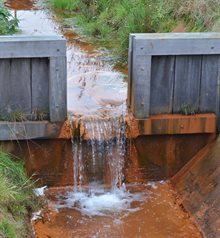 Waterstroom met opgelost ijzer bij de wijstgronden. (foto: TNO – Pieter v.d. Klugt)