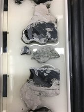 Drillings in silex concretions in chalk sediments.