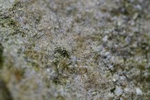 Detailfoto toont de kwartskorrels van de zandsteen.