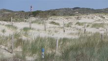 Duinen