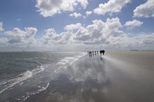 20140418_IMPK6050_2560-2048x1357